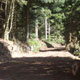Chemin St Régis du Coin : vue d'un carrefour forestier